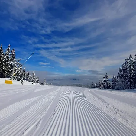 Anna Near Gondola Apartment