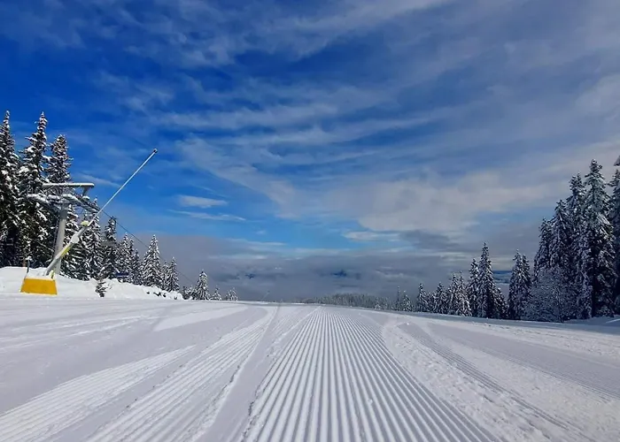 Anna Near Gondola Appartement